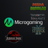 Microgaming Game Provider Logo